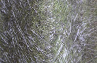 Runswick Bay fibreglass roof work